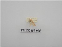 藏品(二斑叉紋苔蛾)的圖片